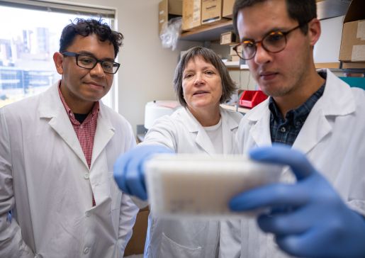 GI lab investigators